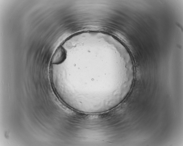 X0000102221283200808151656