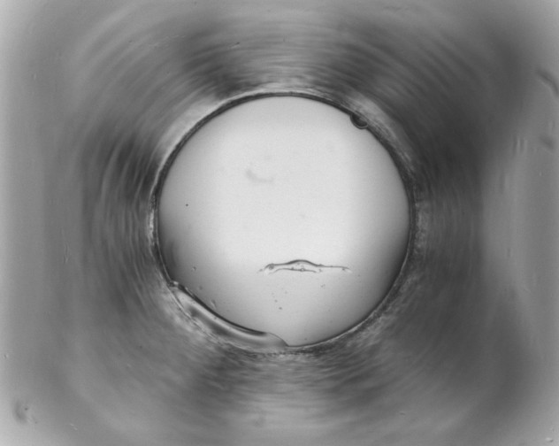 X0000102221284200808151656