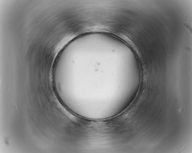 X0000102221285200808151656