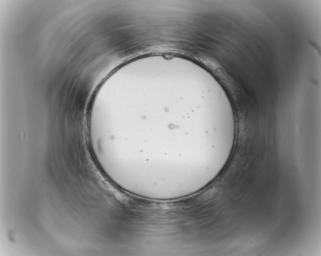 X0000102221286200808151656