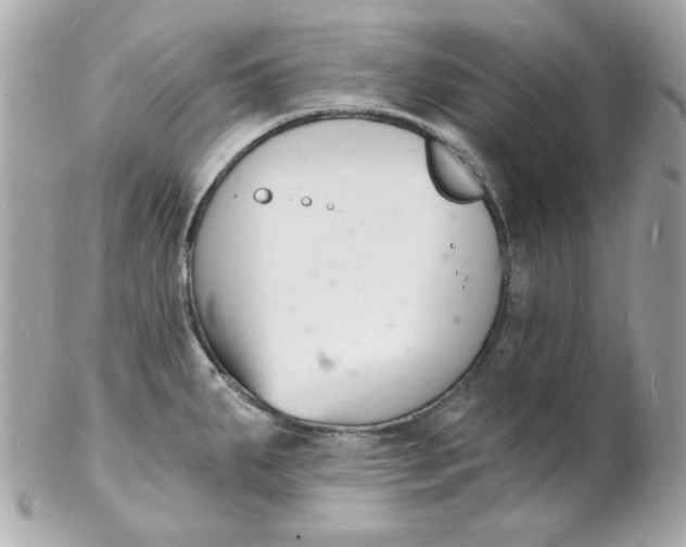 X0000102221287200808151656