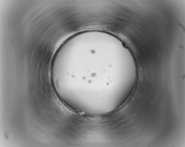 X0000102221288200808151656