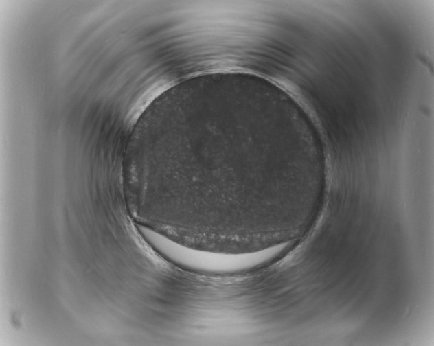 X0000102221289200808151656