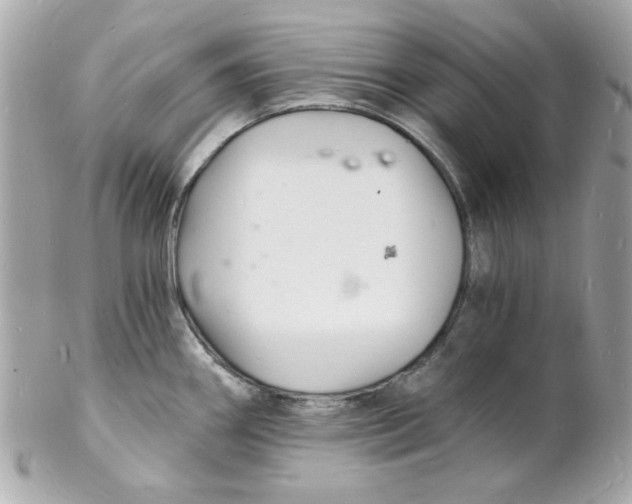 X0000102221290200808151656