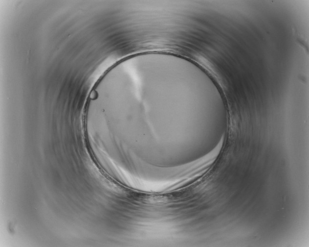 X0000102221291200808151656