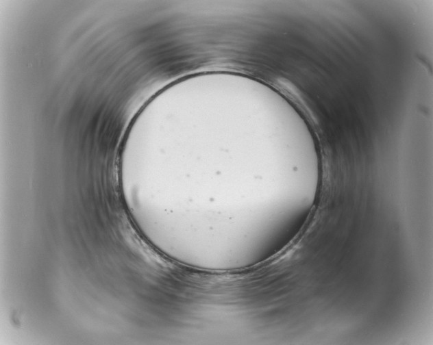 X0000102221292200808151656