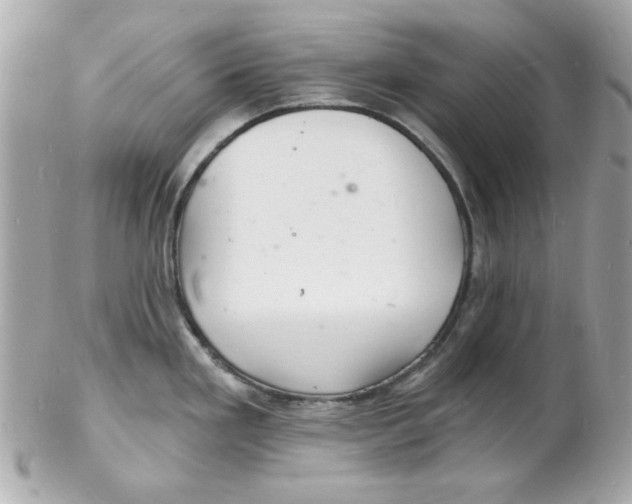 X0000102221293200808151656