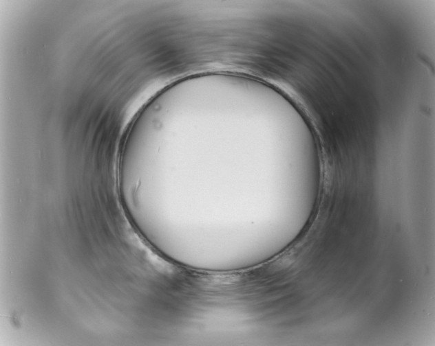 X0000102221294200808151656