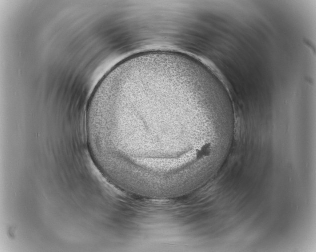 X0000102221295200808151656