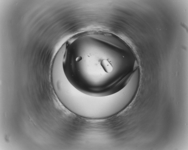 X0000102221296200808151656