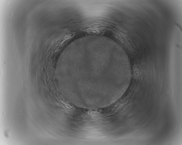 X0000102221297200808151655