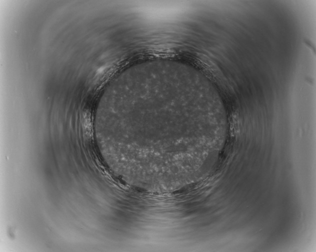 X0000102221298200808151655