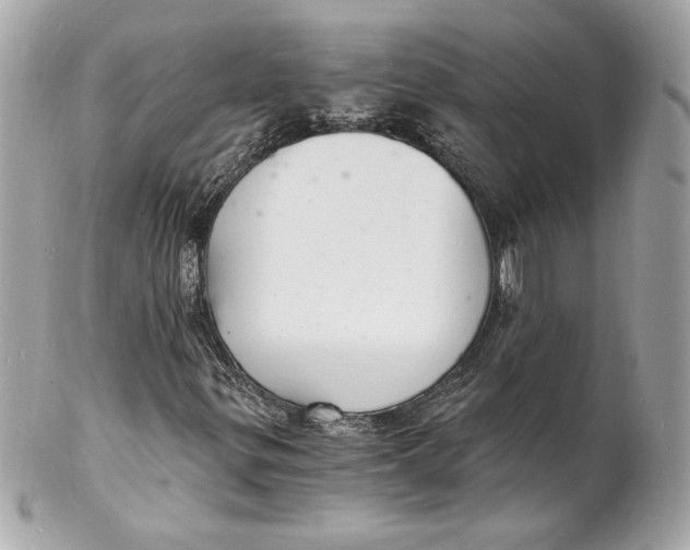 X0000102221299200808151655