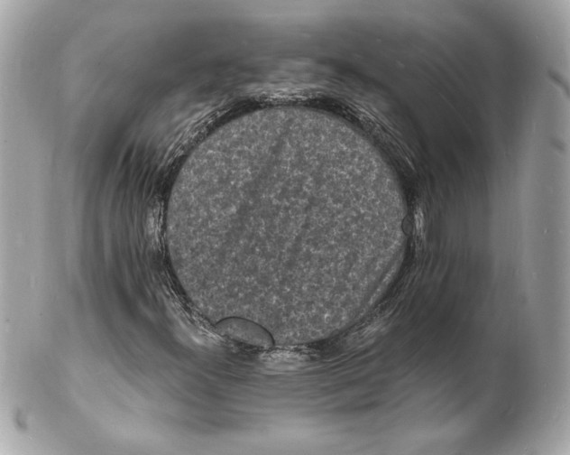 X0000102221300200808151655