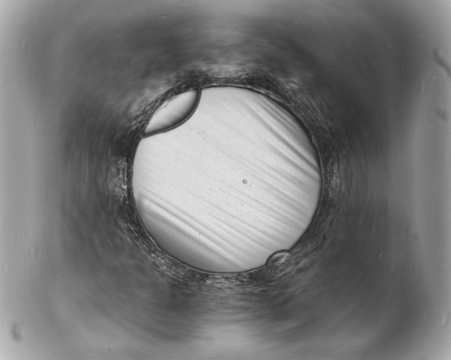 X0000102221301200808151655