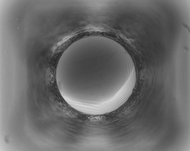 X0000102221303200808151655