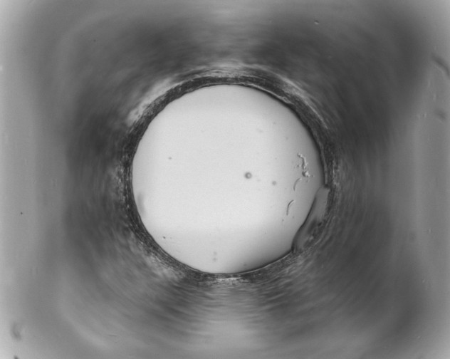 X0000102221304200808151655