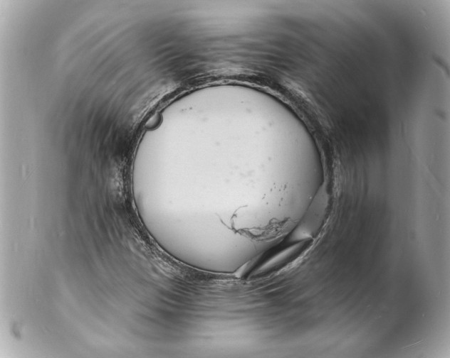 X0000102221305200808151655