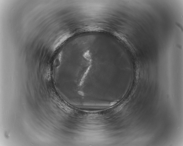 X0000102221306200808151655