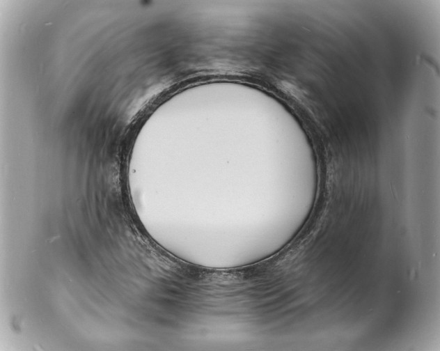 X0000102221307200808151655