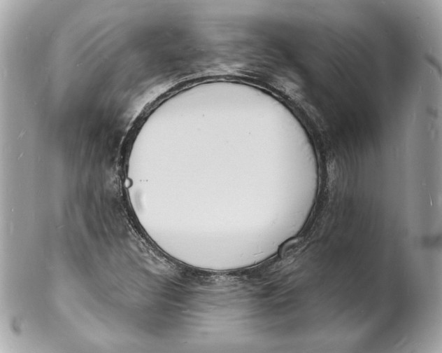 X0000102221308200808151655