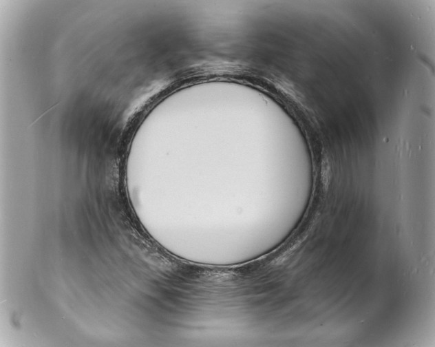 X0000102221309200808151655