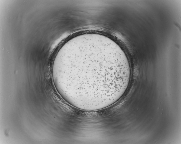 X0000102221310200808151655