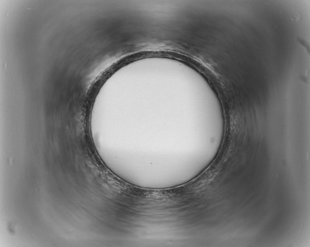 X0000102221311200808151655