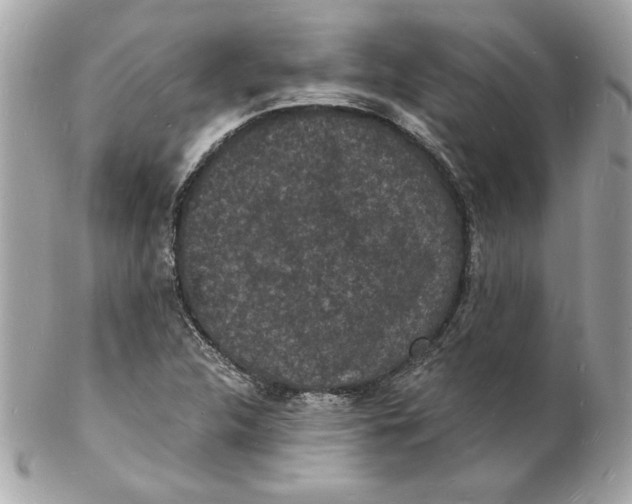 X0000102221312200808151655