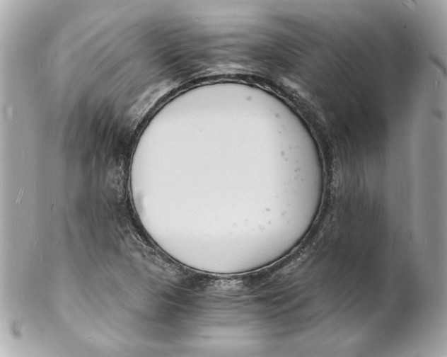 X0000102221313200808151655