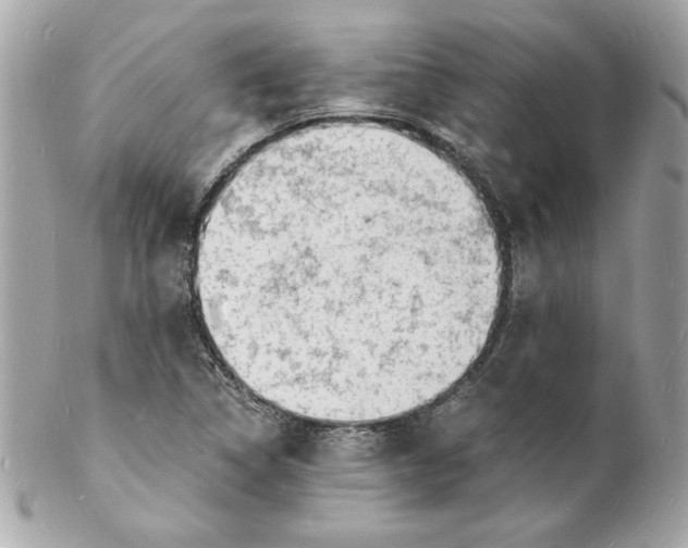 X0000102221314200808151655