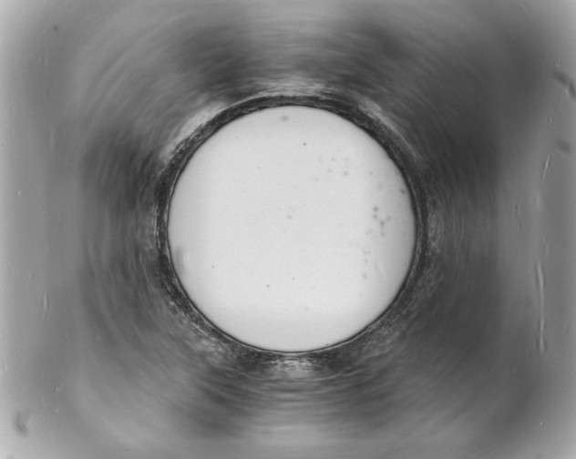 X0000102221315200808151655