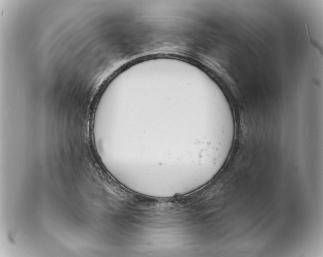 X0000102221316200808151655