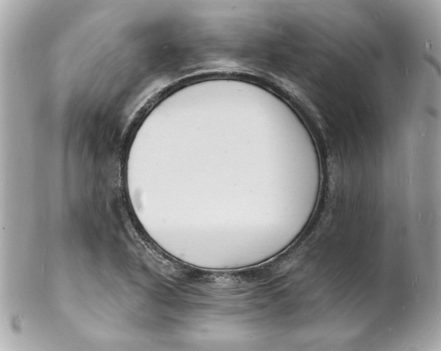 X0000102221318200808151655