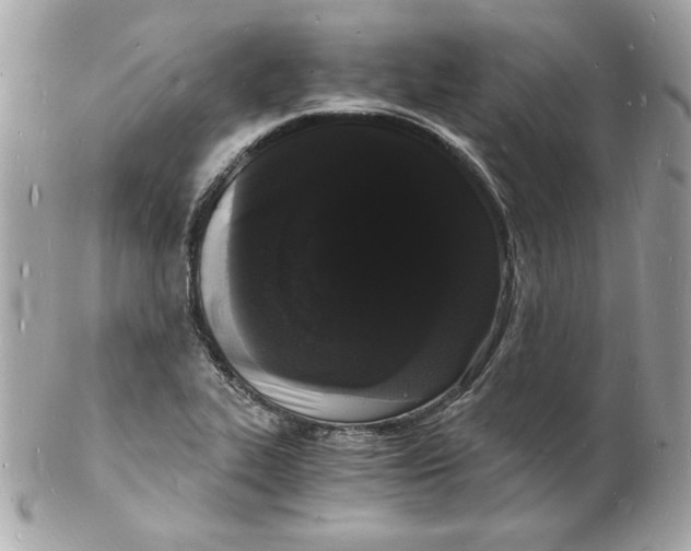 X0000102221319200808151655