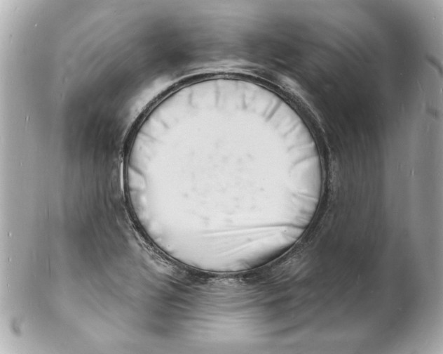 X0000102221320200808151655