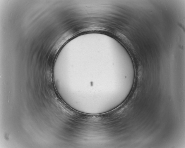 X0000102221321200808151655