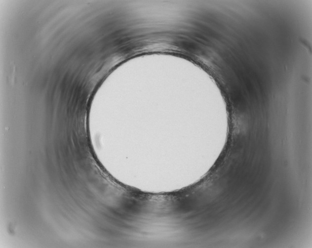 X0000102221322200808151655