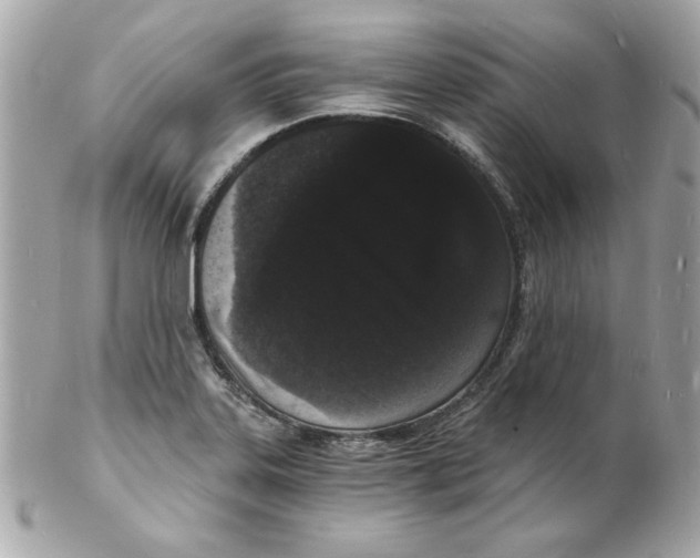 X0000102221323200808151655