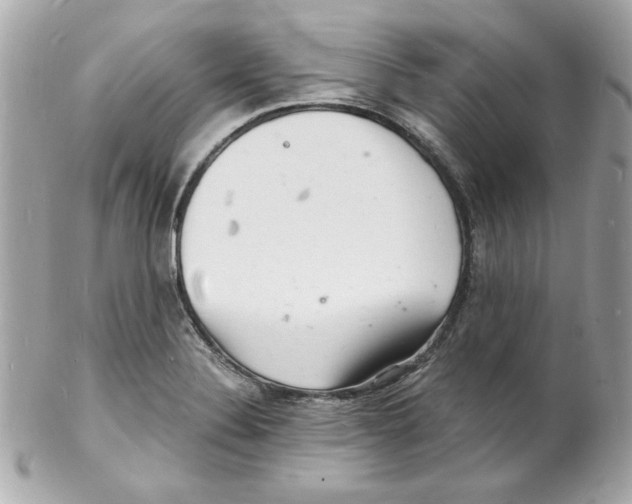 X0000102221324200808151655