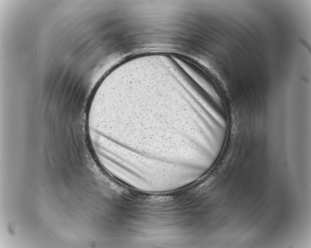 X0000102221325200808151655