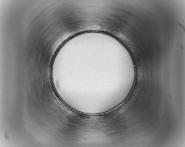 X0000102221326200808151656