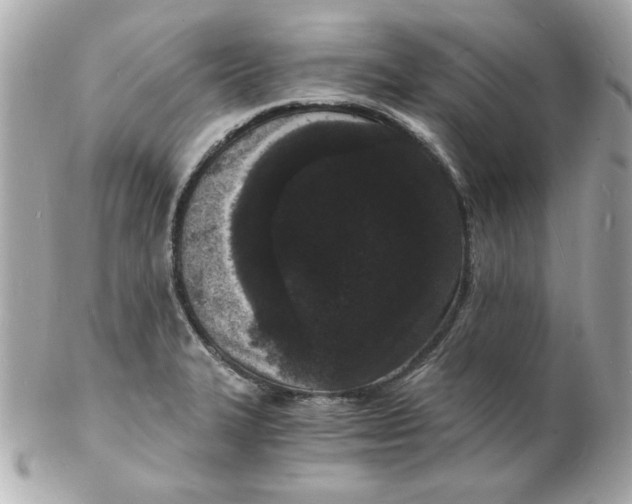 X0000102221327200808151656