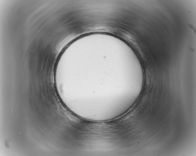 X0000102221328200808151656