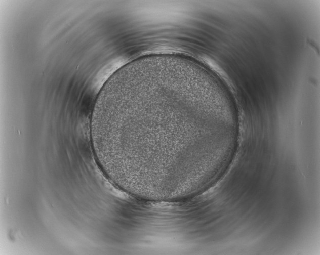 X0000102221329200808151656