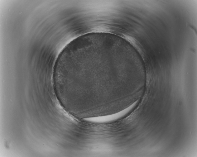 X0000102221331200808151656