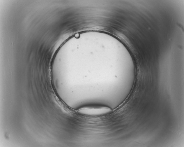 X0000102221332200808151656