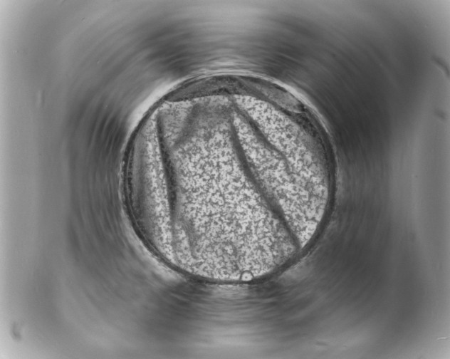 X0000102221333200808151656