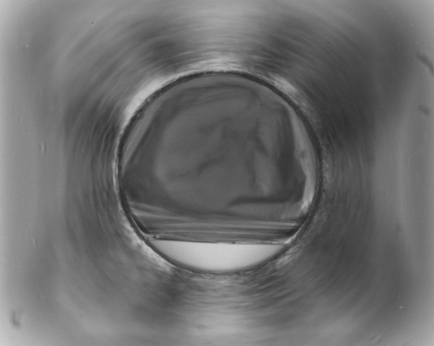 X0000102221334200808151656