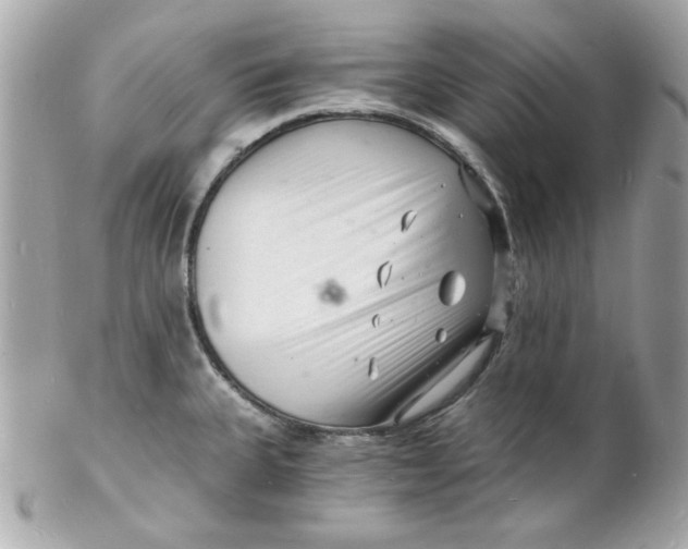 X0000102221335200808151656